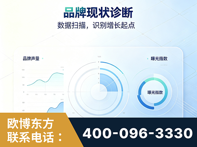 芜湖-品牌现状诊断