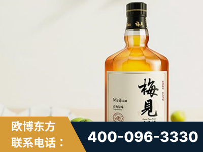 芜湖-梅见青梅酒